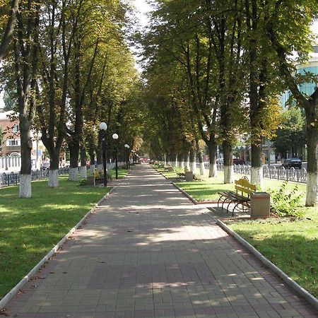 Неймовірно Затишна Студія У Центрі Міста Біля Лікарні Імені Пирогова 文尼察 外观 照片