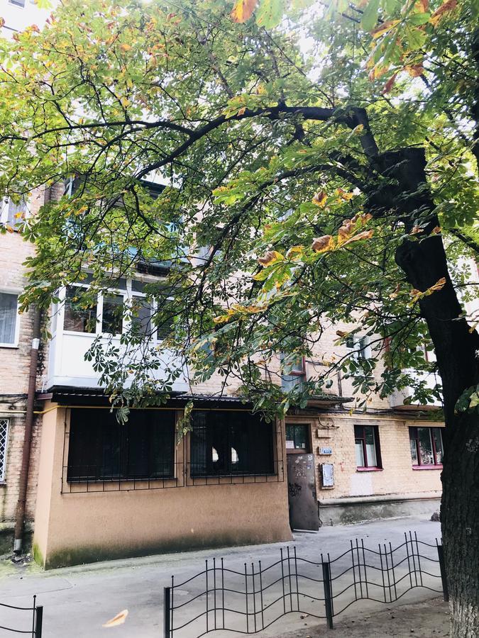 Неймовірно Затишна Студія У Центрі Міста Біля Лікарні Імені Пирогова 文尼察 外观 照片